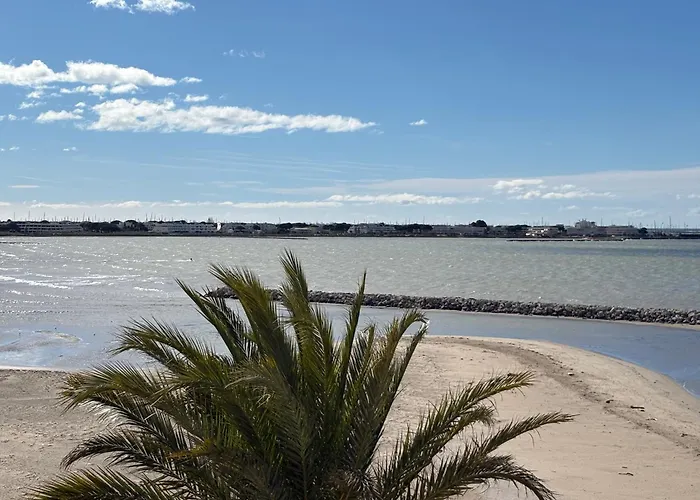 Marina Du Roi Port Camargue 公寓 勒格罗-迪鲁瓦